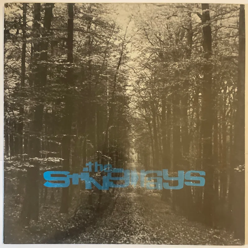 The Sting-Rays - Behind The Beyond 12" Single