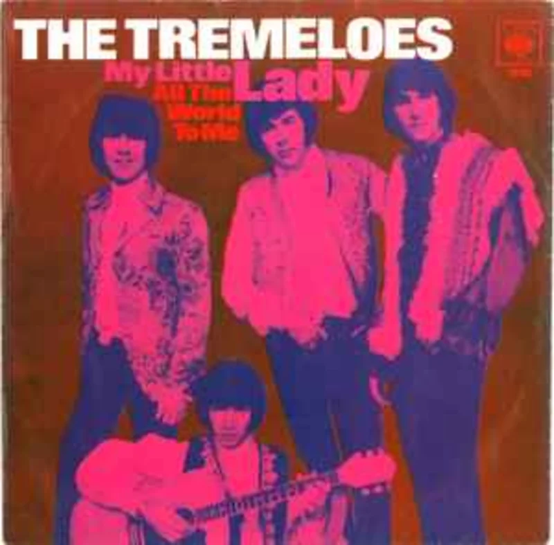 The Tremeloes  My Little Lady  (1968)     7"