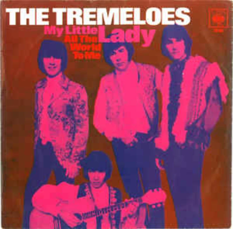 The Tremeloes  My Little Lady (1968)