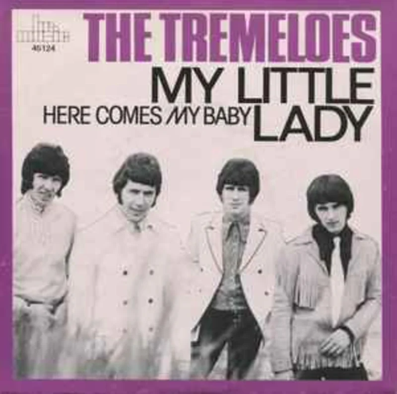 The Tremeloes  My Little Lady     7"
