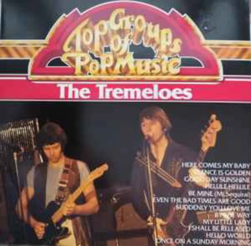 The Tremeloes  Top Groups Of Pop Music  (1981)