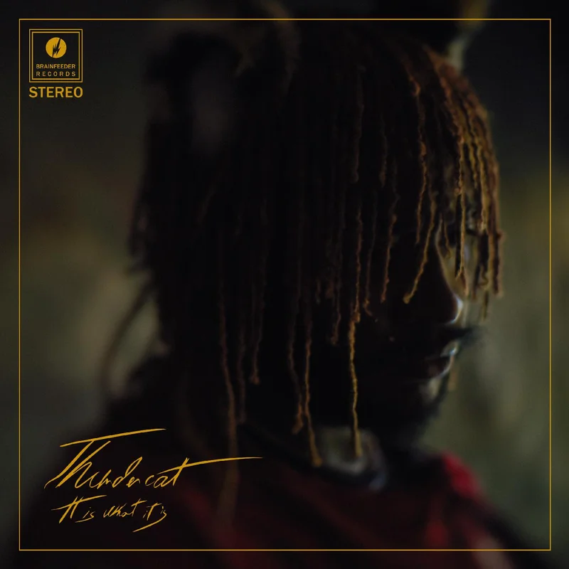 Thundercat - It Is What It Is - Lmt Clear vinyl - Deluxe Gatefold version