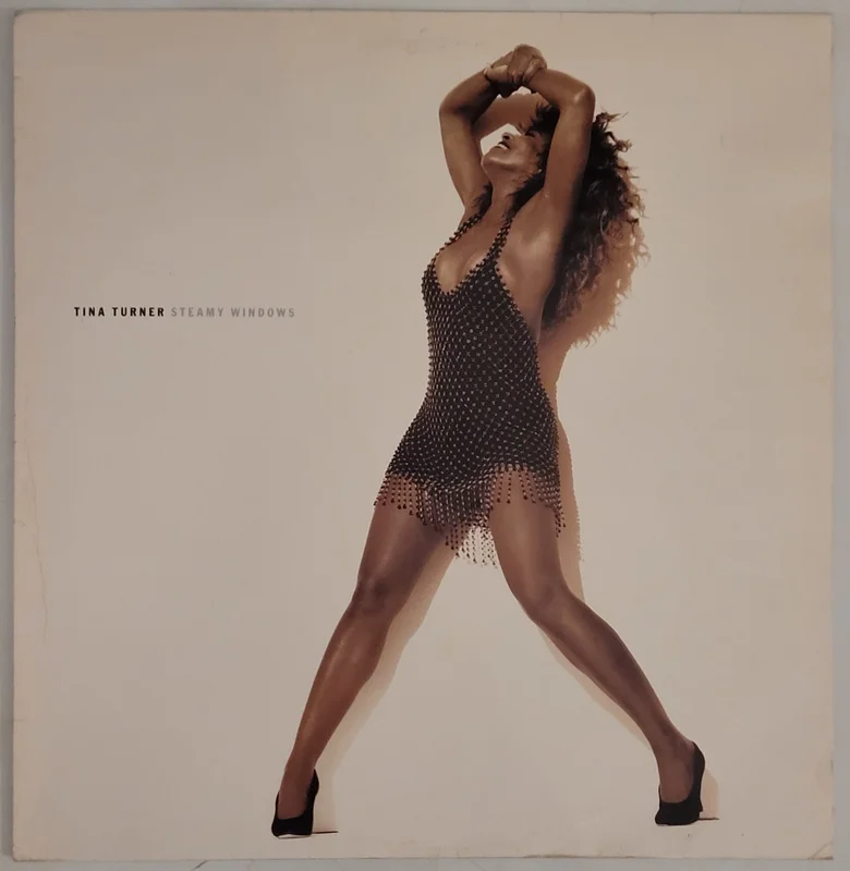 Tina Turner - Steamy Windows 12" Single