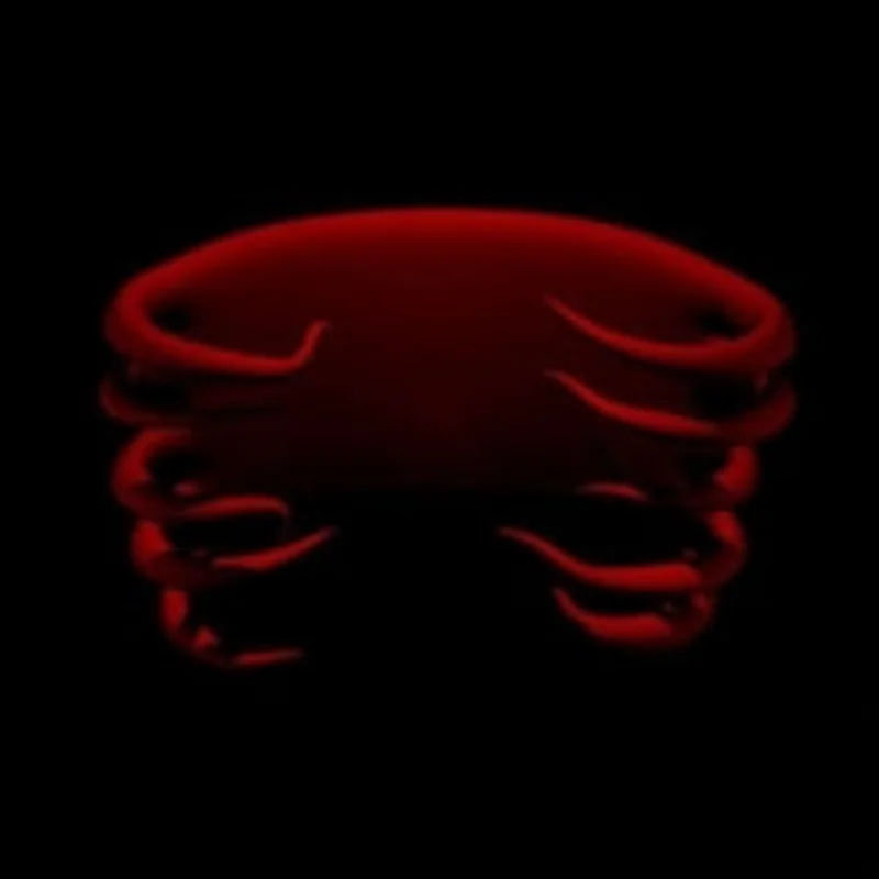 Tool - Tool (Arrives in 21 Days)