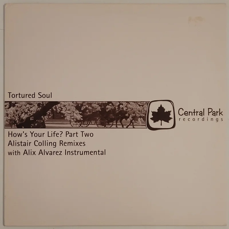 Tortured Soul - How's Your Life? (Part Two) 12" Single