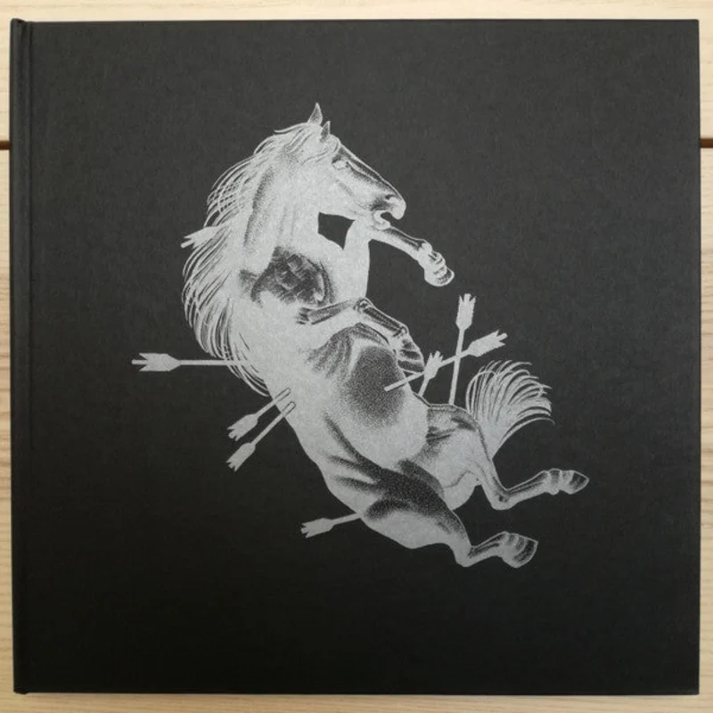 Touch Amor - ... To The Beat Of A Dead Horse USED 2xLP (book edition)