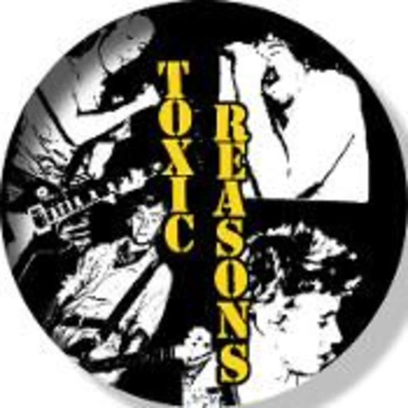 TOXIC REASONS 1.5"button