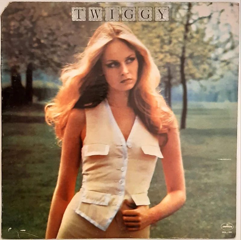 Twiggy - Twiggy Lp (USA Press)