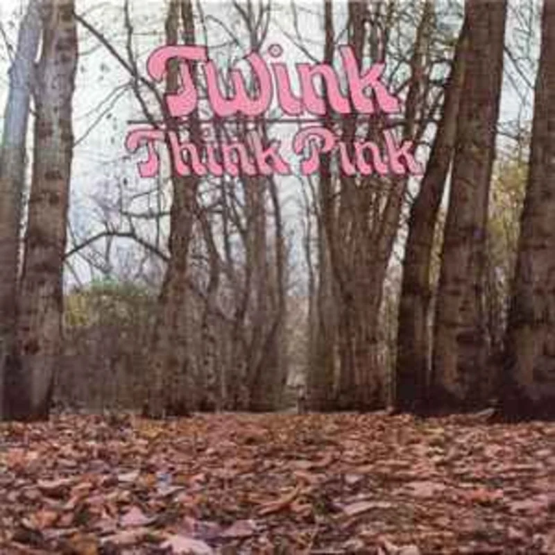 Twink  Think Pink  (2013)     CD