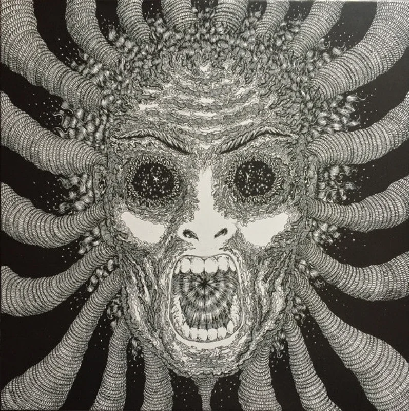 Ty Segall Band - Slaughterhouse NEW 2xLP