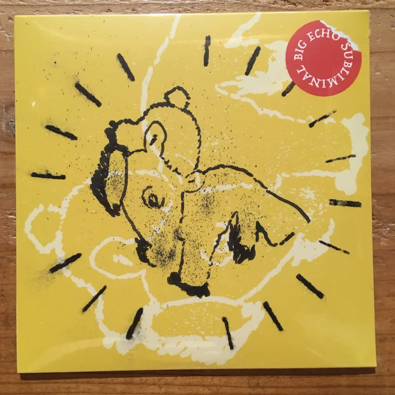 V.A. - Subliminal Big Echo (CD)