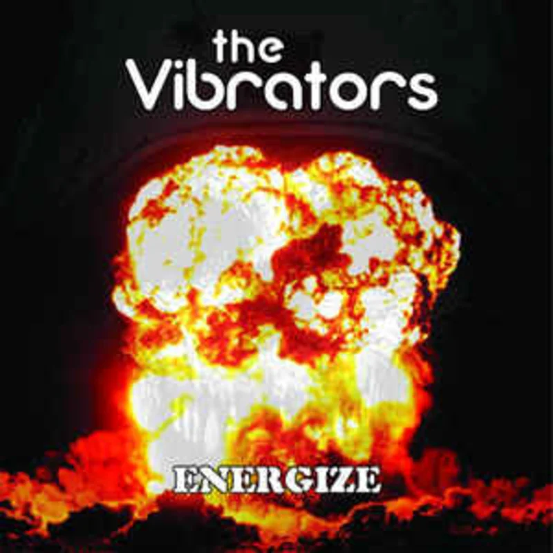 Vibrators - Energize USED LP