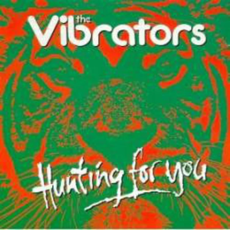 Vibrators - Hunting For You NEW CD