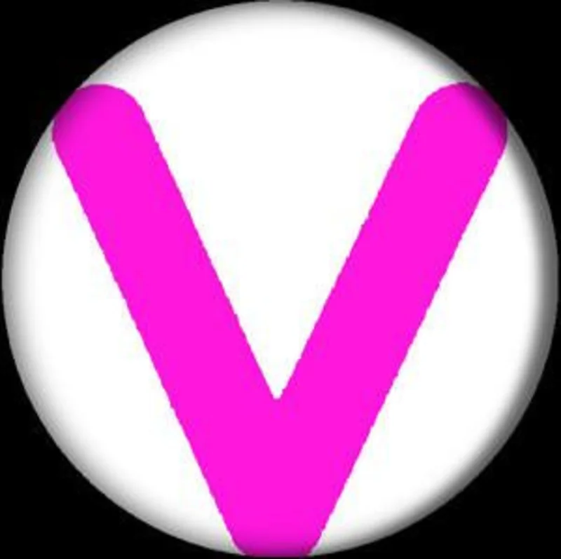 VIBRATORS V button (1 inch)
