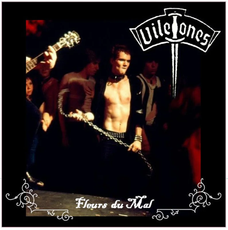 Viletones - Fleurs du Mal NEW LP