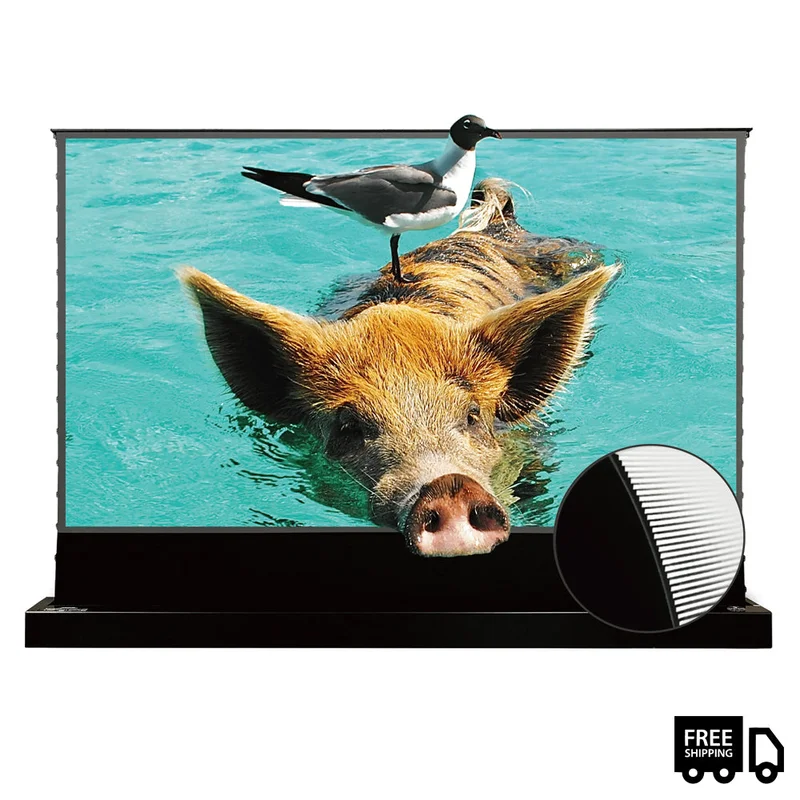 VIVIDSTORM S Pro Screen 100" Black