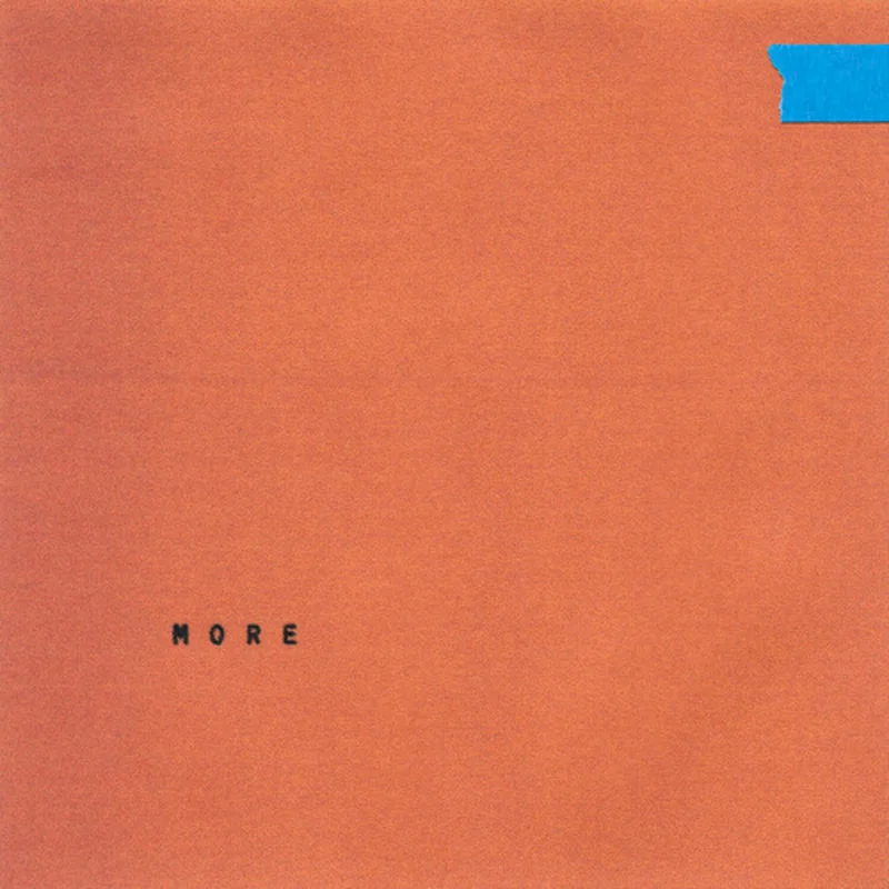 Wallows - More - for RSD25 on limited colored vinyl