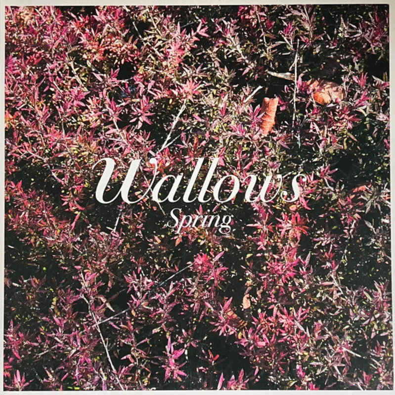 Wallows  Spring (Used Vinyl - VG+) The Revolver Club