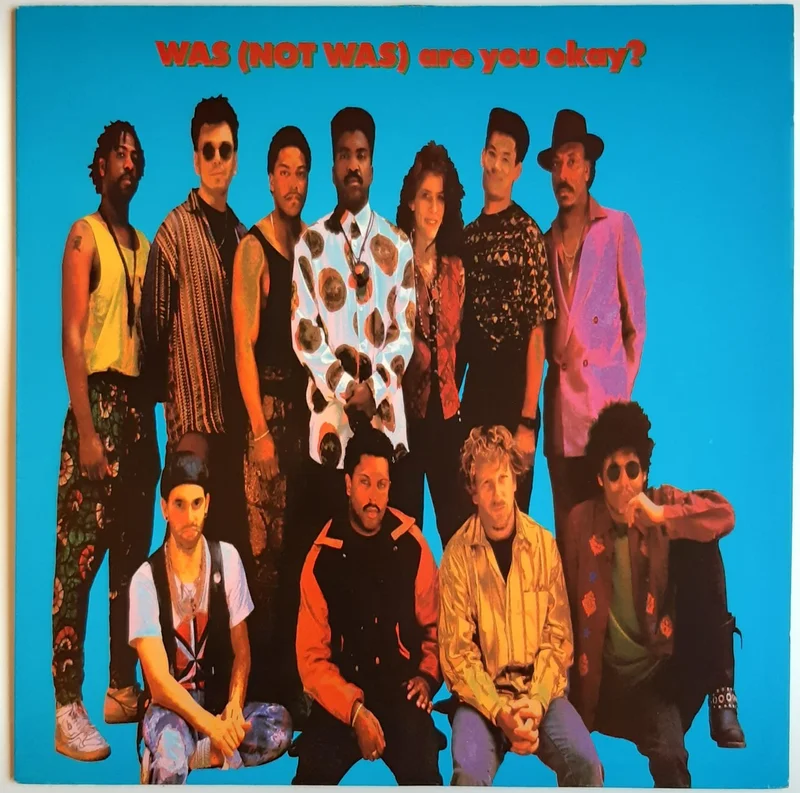 Was (Not Was) - Are You Okay? Lp