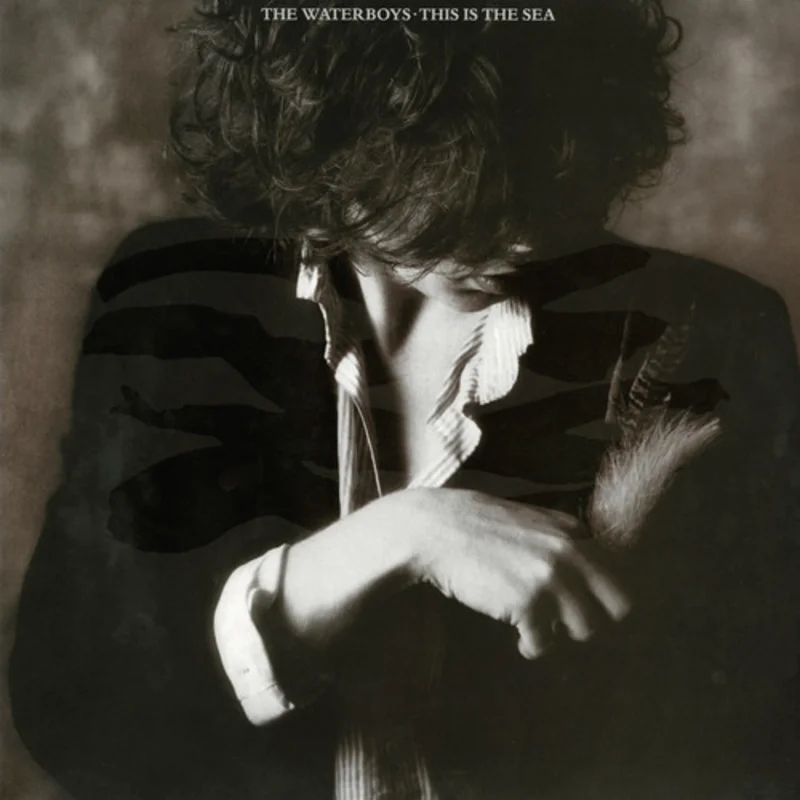 Waterboys - This is the Sea on 180g vinyl