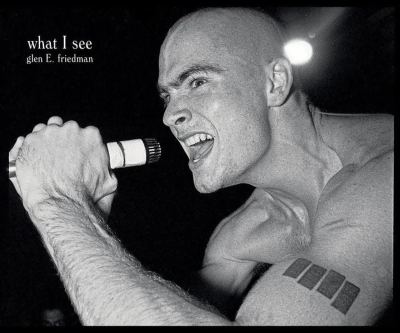 What I See: The Black Flag Photographs Of Glen E. Friedman  NEW BOOK