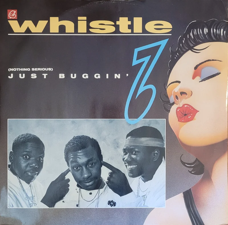 Whistle - (Nothing Serious) Just Buggin' 12" Single