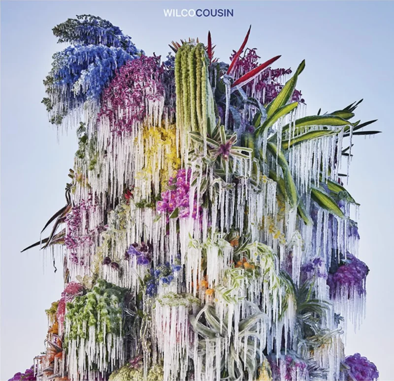 Wilco - Cousin