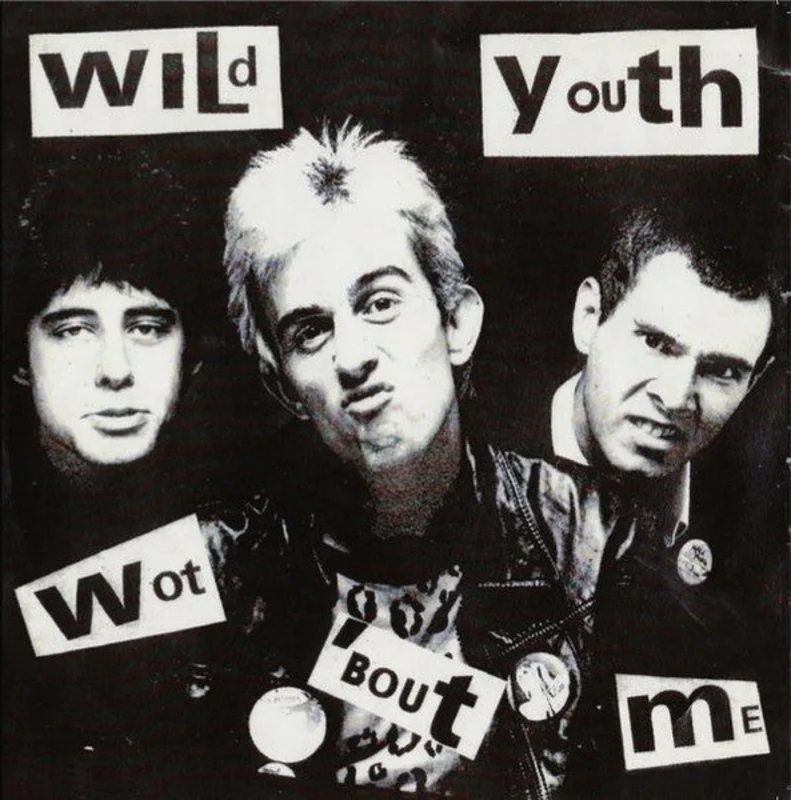 Wild Youth - Wot About Me NEW 7"