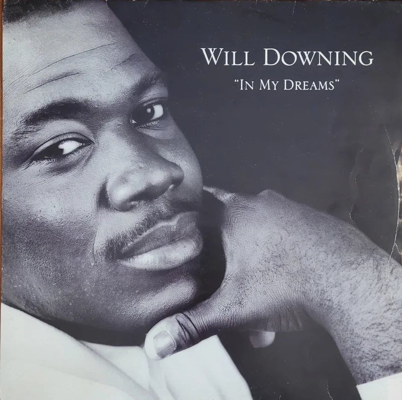 Will Downing - In My Dreams 12" Single