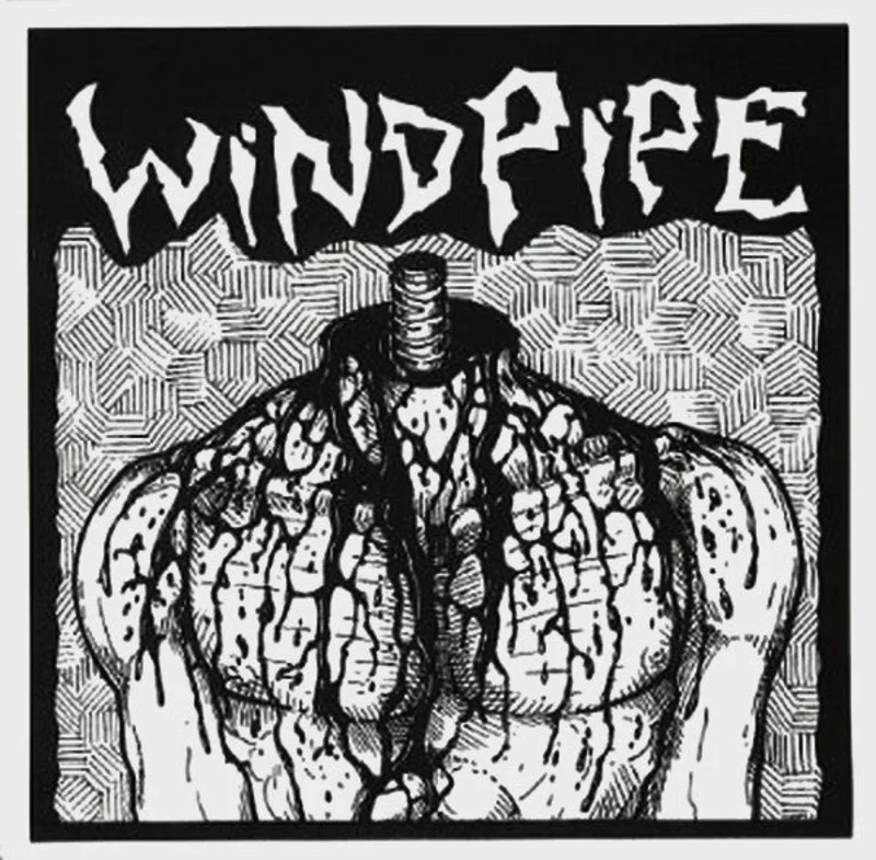 Windpipe - S/T USED 7"