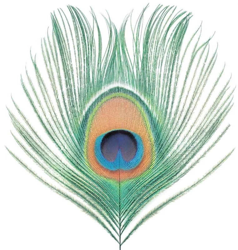 XTC - Apple Venus Volume One - on 200g vinyl