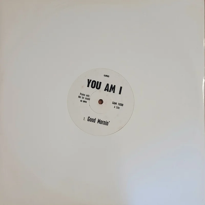 You Am I - Good Mornin' 12" Single (Promo)